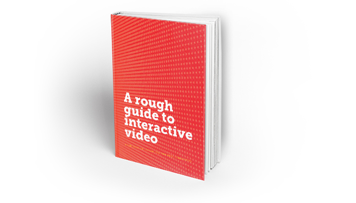 A Rough Guide to Interactive Video